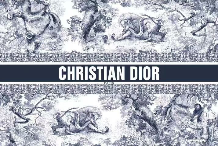 Dior dish placement for dining table plates